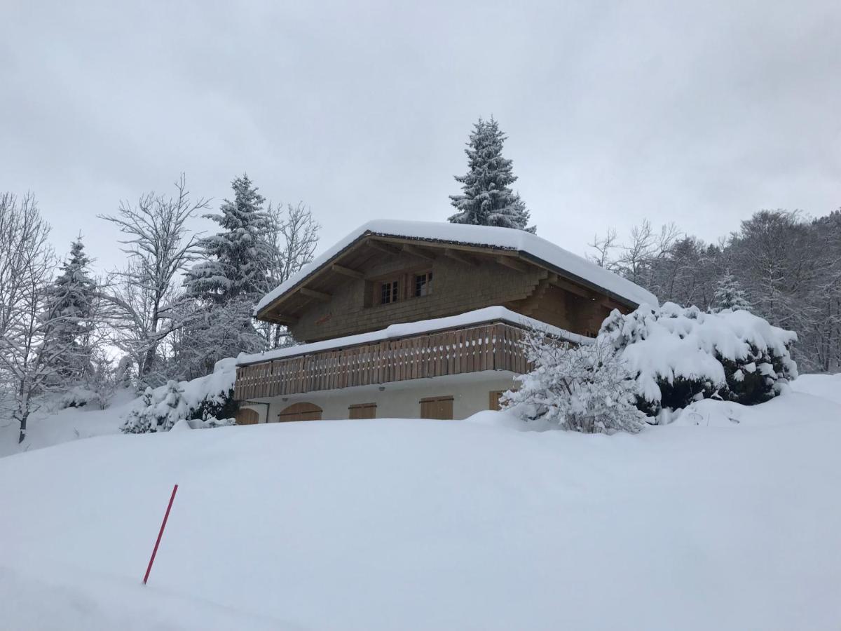 Chalet Les Marmottes Saint-Jean-de-Sixt Exterior foto